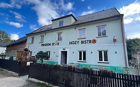 Penzion Star Doksy